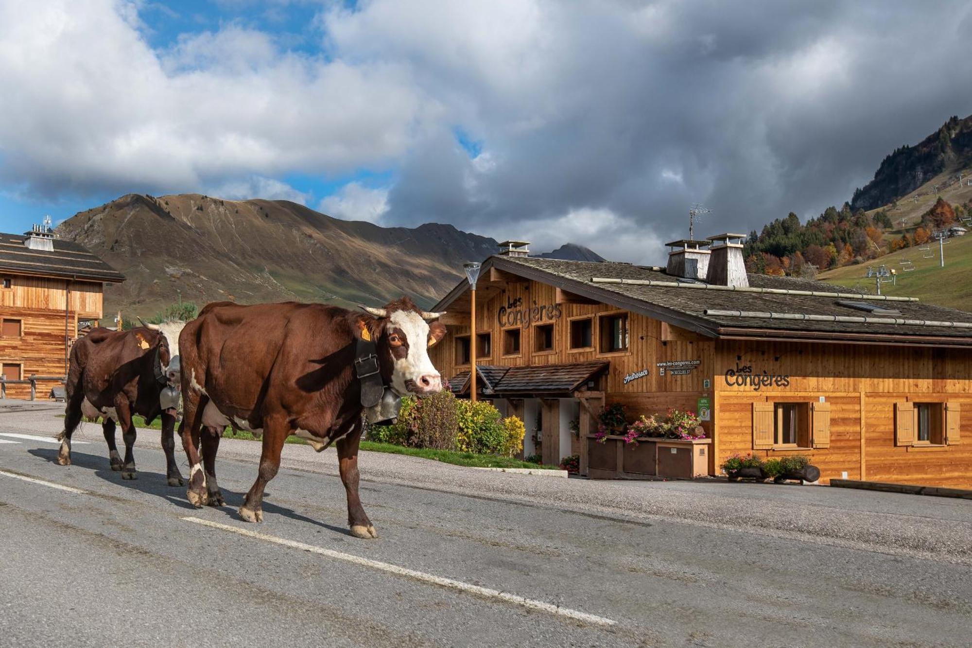 Les Congeres Villa Le Grand-Bornand Bilik gambar